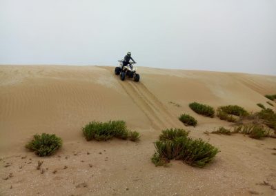 WhatsApp Image 2019-11-16 at 09.10.27 (2)