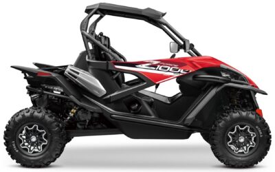 Buggy 1000R Sport 2 places